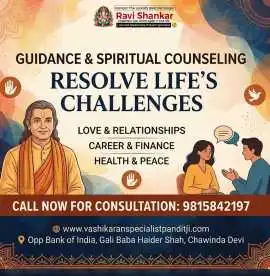 Astrologer Ravi Shankar - Astrology Solution, Amritsar
