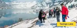 Darjeeling Gangtok Package Tour from NJP 