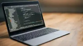 Software development company in oman | GGMS Global, Muscat