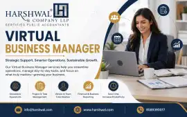 Skilled Virtual Business Manager for Daily Operati, San Diego