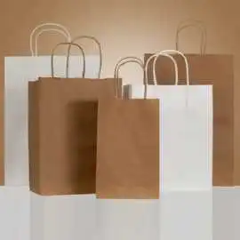Durable Brown Paper Shopping Bags for Everyday Use, $ 0