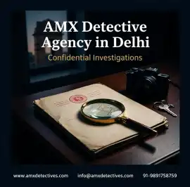 AMX Detective Agency in Delhi | Investigations, New Delhi