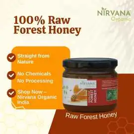 Buy Forest Honey at Best Price – Pure & Raw | Nirv, ps 550