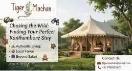 Escape to Ranthambore: Discovering Your Ideal Wild
