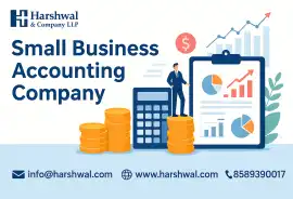 Support from a Small Business Accounting Company, San Diego