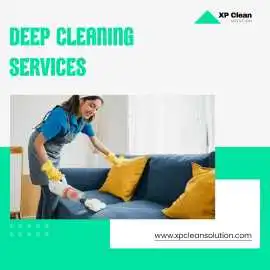 Revive Best Carpets with Deep, Lasting Cleaning , New York