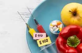 Understanding Fda Monosodium Glutamate Safety , New Delhi
