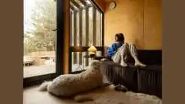Pet-Friendly Vacation Rentals in Manzanita , Manzanita