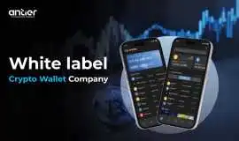 White Label Crypto Wallet Company , Palm Springs