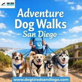 Adventure Dog Walks in San Diego – Dog Tired, San Diego