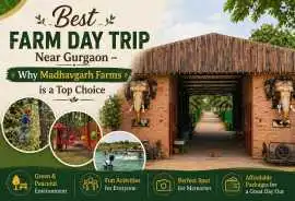 Where to Find Real Madhavgarh Reviews? Visit Farms