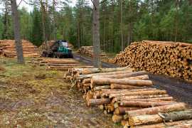 Russia is Certainly Looking at Long-Term, Taby