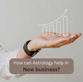 Astrology Report for Business Success, Ahmedabad