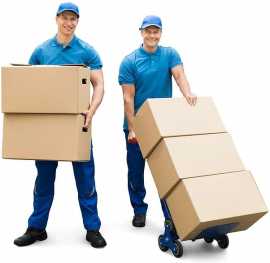 Professional Packers and Movers Delta, Delta