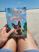 Discover Intriguing Mystery Series Books