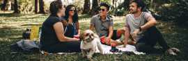 Top Family-Friendly Attractions in Solan and Kasau, Solan