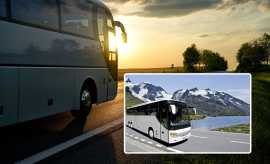 Experience Unparalleled Luxury with Golden Bus Cha, Alexandria