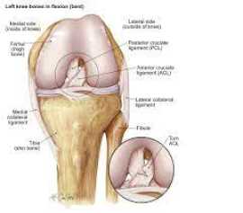 Understanding the Procedure and Recovery Process o, Jaipur