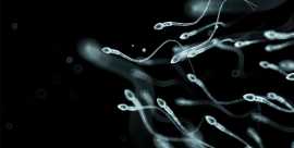 Did You Know? Male Infertility Treatment in Delhi, Delhi