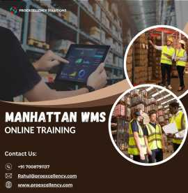 Manhattan WMS Made Easy: Enroll Now, Bengaluru