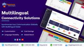 Multilingual Connectivity Solutions, Toronto