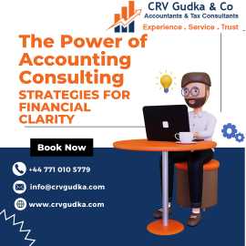 Empower Your Business with Expert Financial Con., London