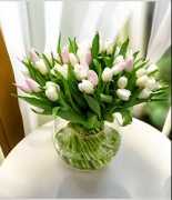 buy flowers online dubai, Dubai