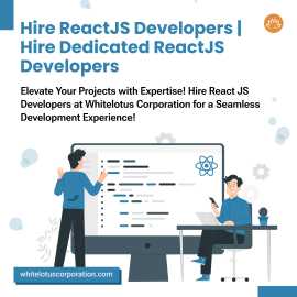 top ReactJS developers, Ahmedabad