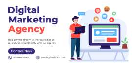 Elevate Your Business with Expert Digital Marketin, Noida