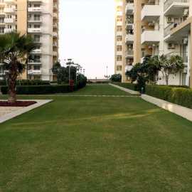 Residential Property for Sale by Okas Residency, Lucknow