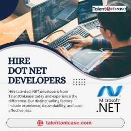 Hire Dot Net Developers, Noida