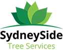 Looking for Local Tree Trimmers in Australia?, Sydney