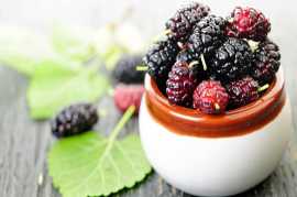 Mulberry Extract Manufacturers and Suppliers India, Ghaziabad