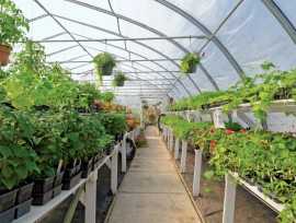 In agricultural commodities, logistics and storage, Ahmedabad
