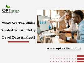 Data Analyst