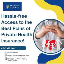 Hassle-free Access to the Best Plans of Private He, Chicago
