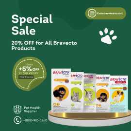 Canadavetcare: 20%Off On Bravcecto Flea & Tick, New York
