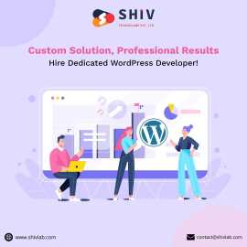 Custom WordPress Plugin Development Services, Toronto