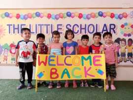 Preschools in Noida, Noida