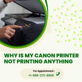 Why is My Canon Printer Not Printing Anything , Haltom City