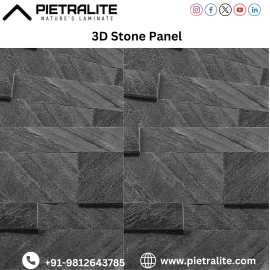 3D Stone Panel, Gurgaon