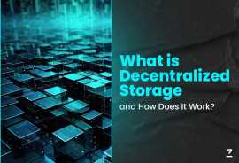 Decentralized Storage - Definition, Types, Process, Ahmedabad