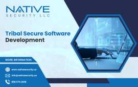 Professional Tribal Software Development USA, San Diego