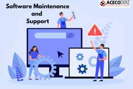 Software Maintenance and Support services, Lucknow