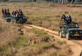 Best Safari Services in Tanzania | Ngasini Travel, Arusha