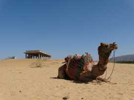 Rajasthan Tour Packages from Delhi, Jaipur