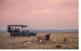 Safari Services in Zanzibar | Ngasini Travel, Arusha