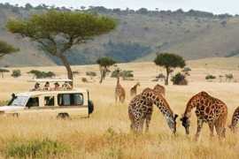 Holiday tours in Zanzibar | Ngasini Travel, Arusha