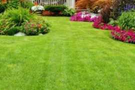 Best maintenance landscaping service, Miami