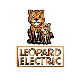 Leopard Electric, Southfield